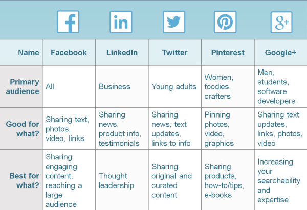 Social media -marketing Audience Breakdown template